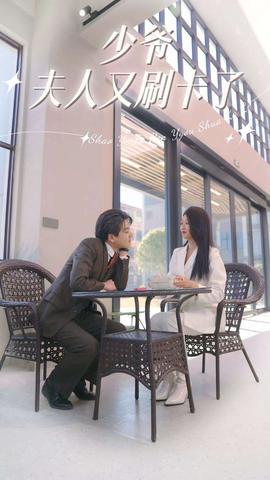 少爷夫人又刷卡了 全集(大结局)