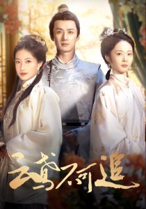 云鸢不可追 全集