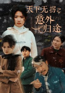 天下无拐之意外归途 全集