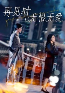 再见时已无恨无爱 全集(大结局)